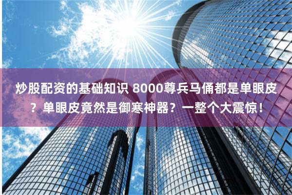 炒股配资的基础知识 8000尊兵马俑都是单眼皮？单眼皮竟然是御寒神器？一整个大震惊！