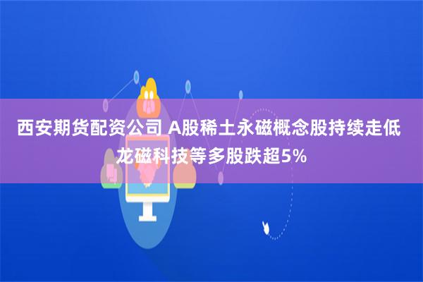 西安期货配资公司 A股稀土永磁概念股持续走低 龙磁科技等多股跌超5%